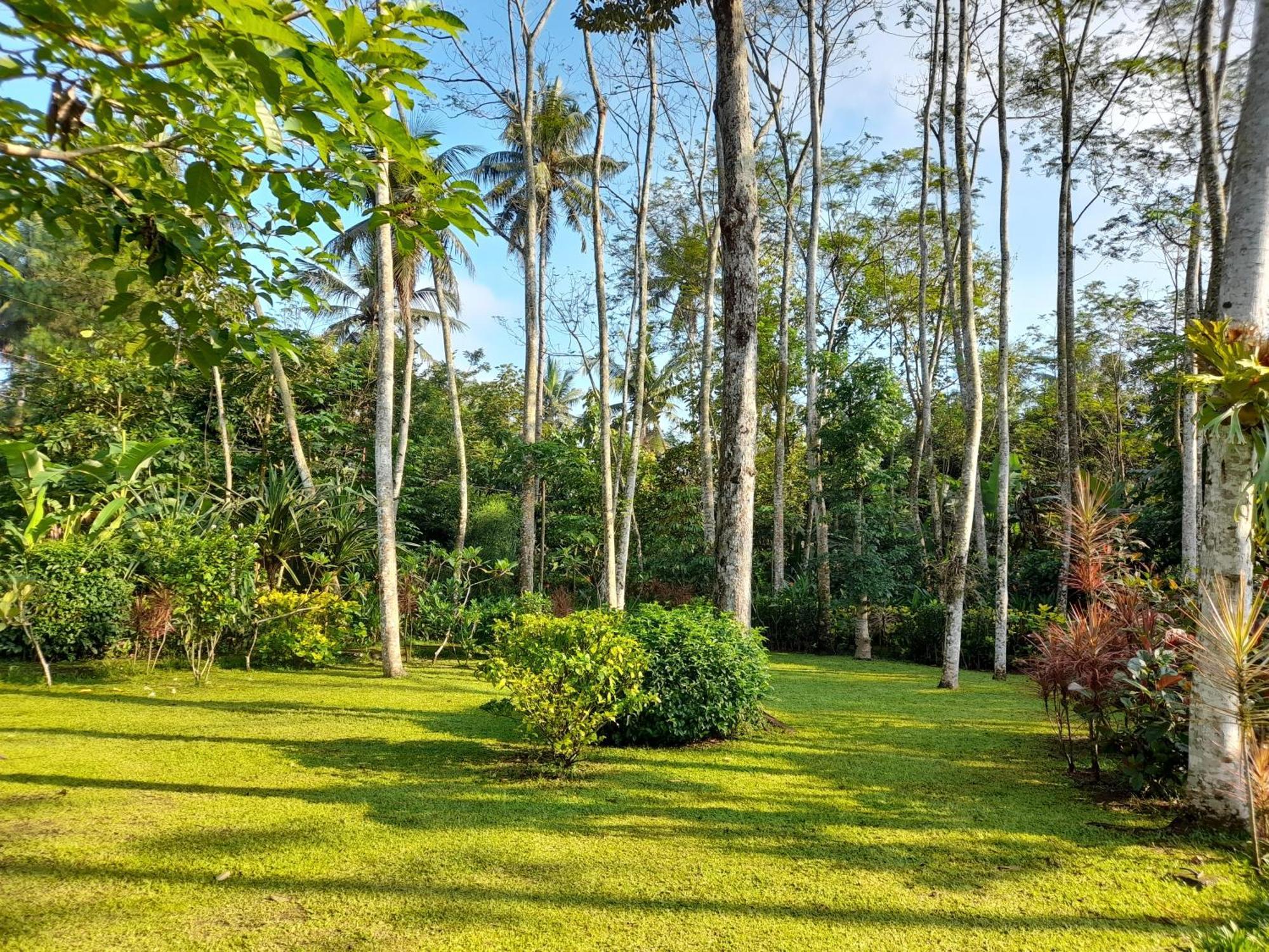 Hotel Ndalem Nitihardjan Magelang Esterno foto